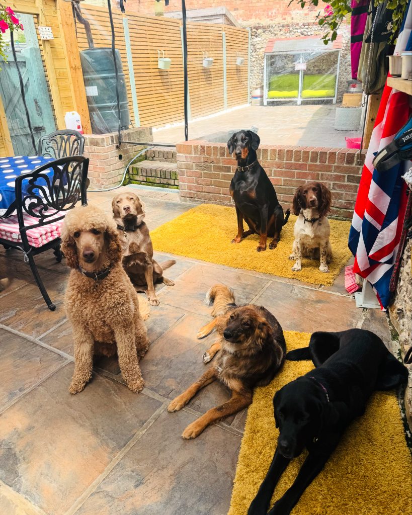 8CCA7675-269F-4CA0-9AF2-407398EB72CC